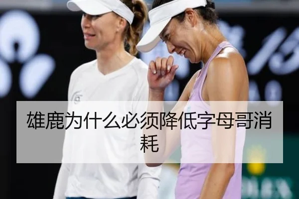 雄鹿为什么必须降低字母哥消耗